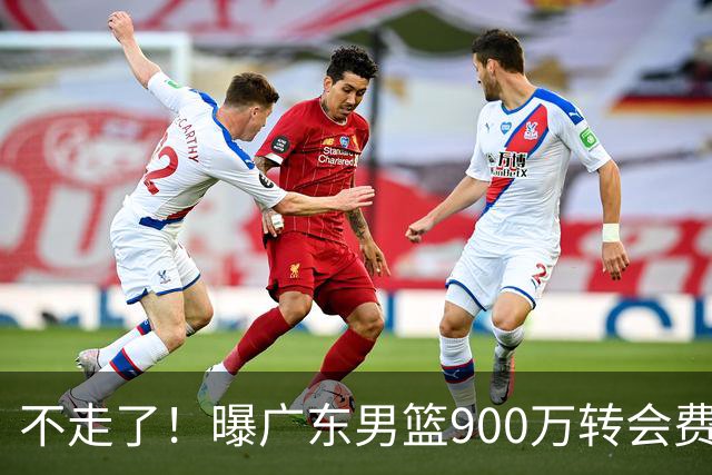 不走了！曝广东男篮900万转会费签下昔日状元内线，杜锋拒绝摆烂