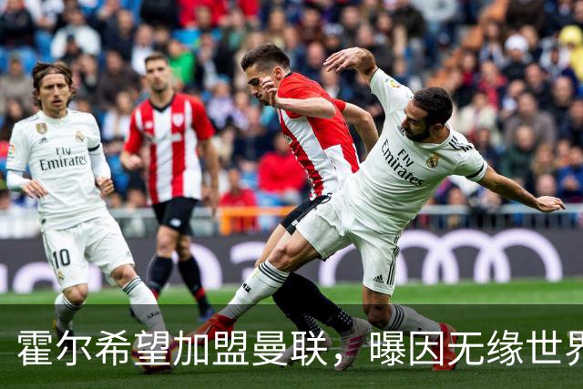 霍尔希望加盟曼联，曝因无缘世界杯与纽卡闹翻！转会费至少5000万